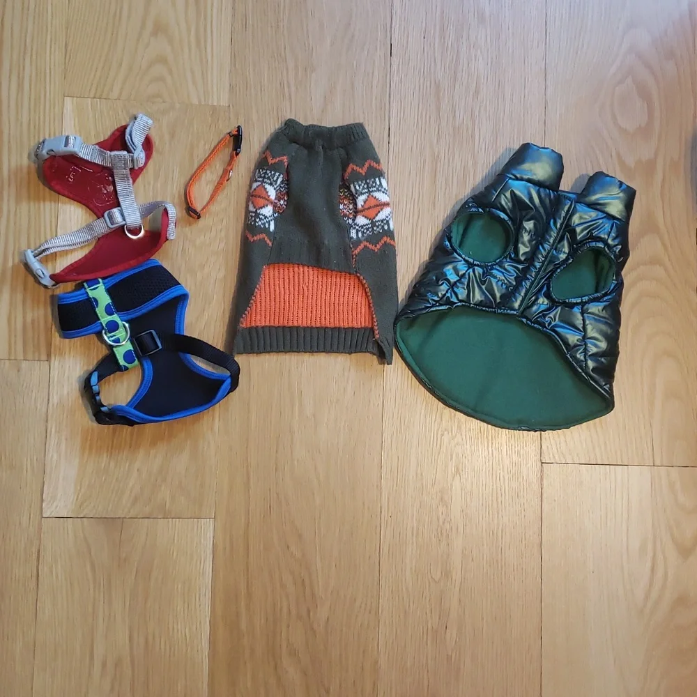 Set of Dog Sweaters and Harnesses